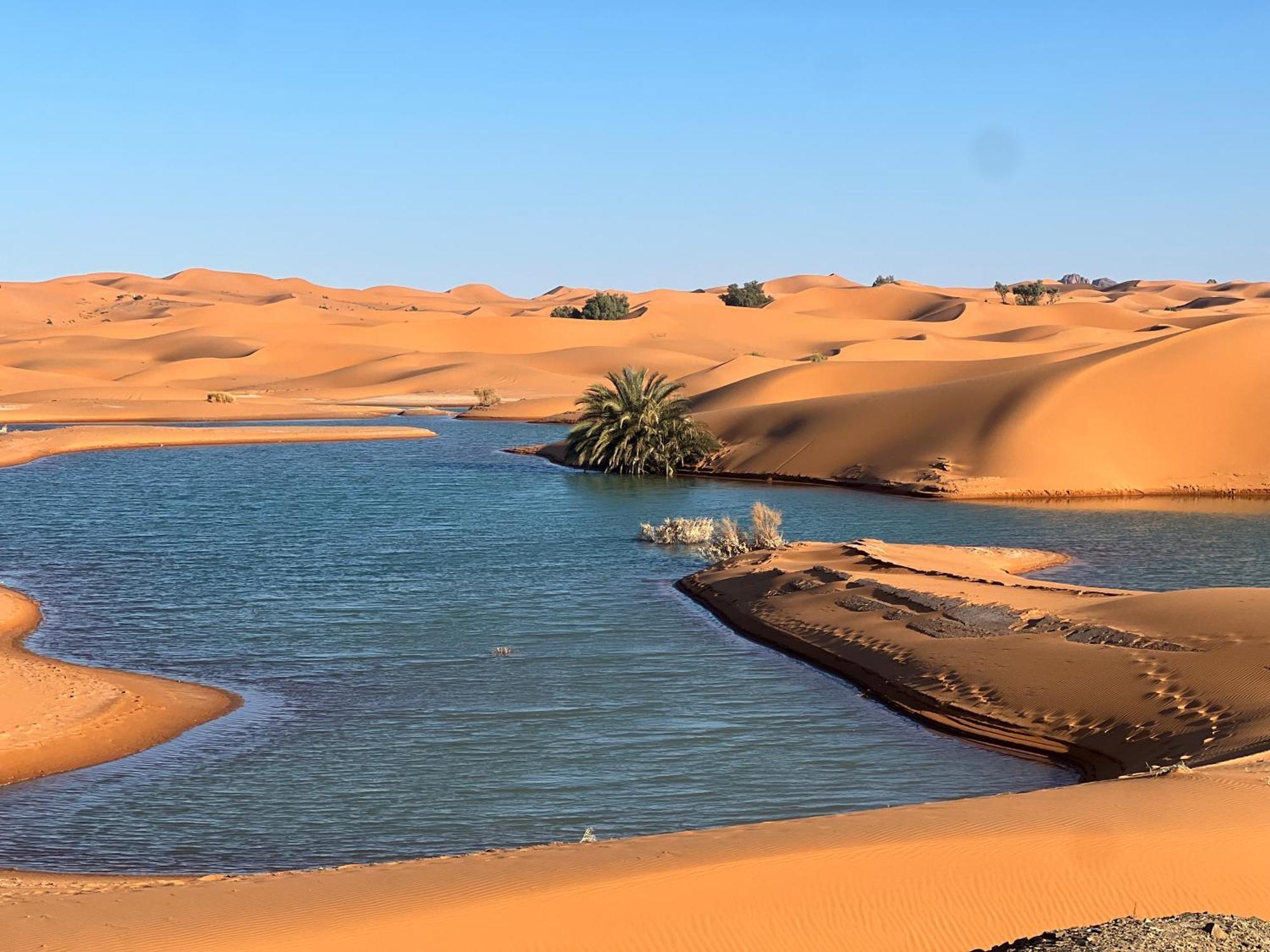 Berber Palace Merzouga Luaran gambar