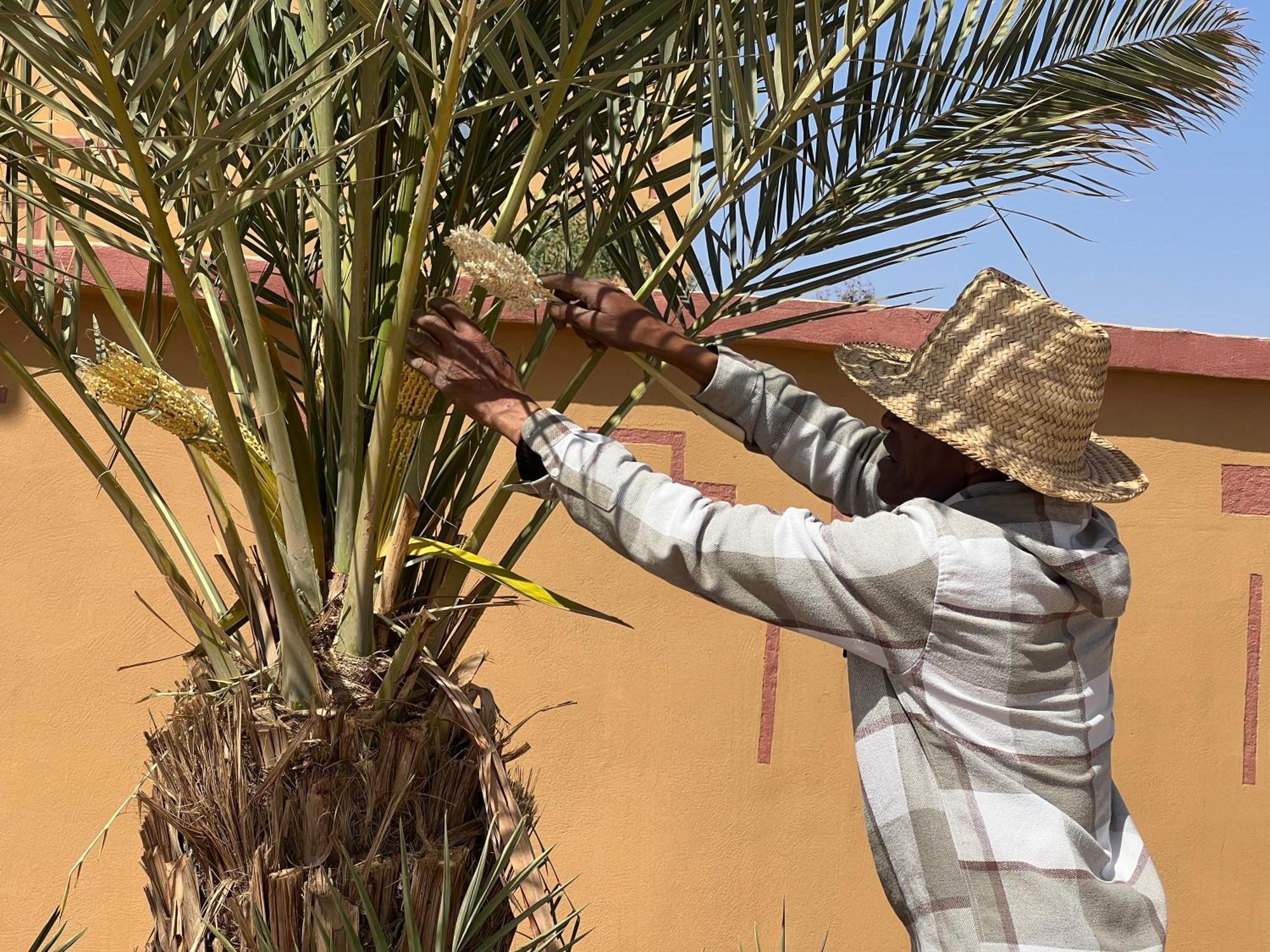 Berber Palace Merzouga Luaran gambar